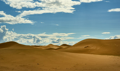 Obraz na płótnie Canvas Mongolia. Sands Mongol Els