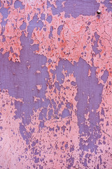 The background is a peeling metallic surface in red. texture Old red, pink paint peeling off a metallic surface.