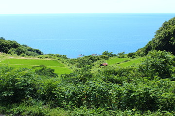 暮坪の棚田