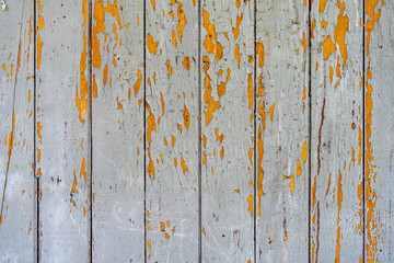 old painted wooden planks of yellow color are peeling off from time. Paint peeling off the wooden surface of the old planks. Texture of old painted wooden boards