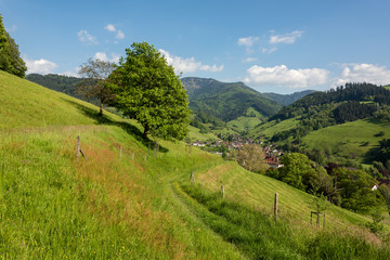 Wonderful landscape image of the small climatic resort village Muenstertal in the black forest with...