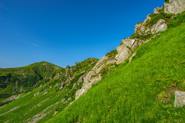 Obraz premium Rocks in the Carpathian mountains