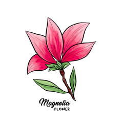 Magnolia flower in blossom, beautiful home decor and interior design, isolated illustration vector. Pink floral sketch drawing. Spring blossom realistic clipart. Wildflower pencil texture.