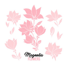 Magnolia flower bouquets in blossom, beautiful home decor and interior design, isolated illustration vector set. Pink floral sketch drawings. Spring blossom realistic cliparts.