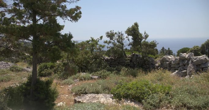 Karst and macchia