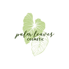 Palm leaves cosmetics hand drawn logo template. Silhouette and outline monstera leaves drawing. Handwritten lettering and exotic leafage illustration. Skin care shop logotype linear design © ilonitta
