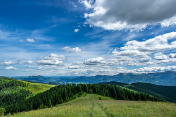 Obraz premium Mountain meadow on a sunny day