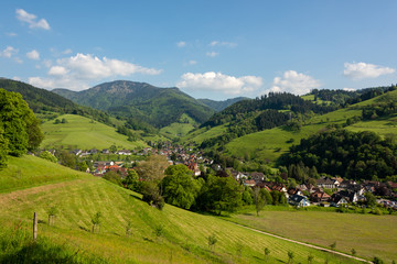 Fototapeta na wymiar Wonderful landscape image of the small climatic resort village Muenstertal in the black forest with hills, meadows and mountain in the background