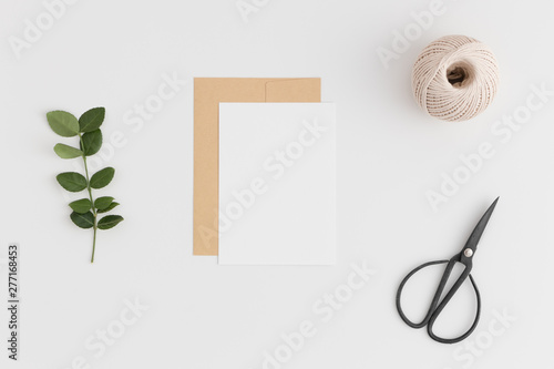 Download Top View Of A White Card Mockup And Envelope With Twine Scissors And Green Branch On A White Table Wall Mural Snoflinga