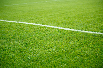 Photo of green soccer field with white stripe,