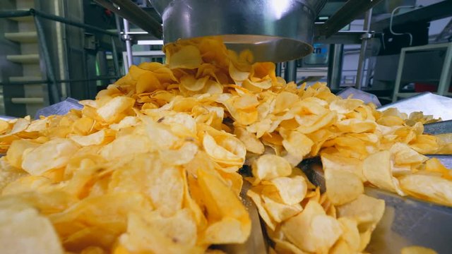 Yellow chips falling from a tube onto a plant conveyor.