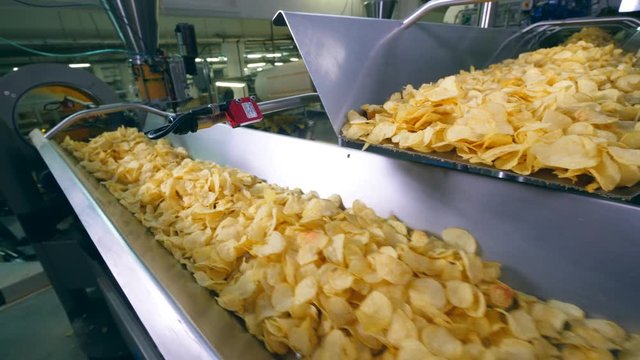 Modern factory conveyor moves lots of potato crisps.