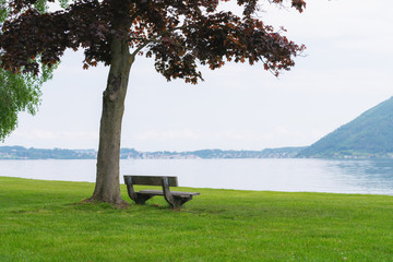 Bench under the tree with lake and mountain in the garden in summer