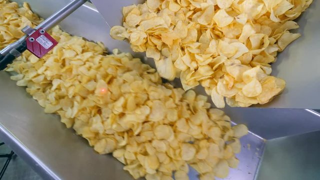 Two conveyors move potato chips at a food factory.