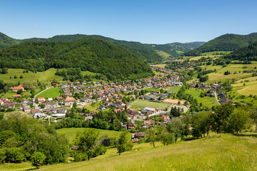 The small village Muenstertal in the Black Forest