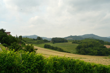 Fototapeta na wymiar Landscape of Monferrato hills where grows grapes for Barbera