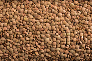 Closeup of dry lentil seeds (Lens culinaris)