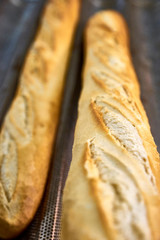 Two baguettes disposed on a industrial metallic stainless tray. Shallow depth of field, bokeh.