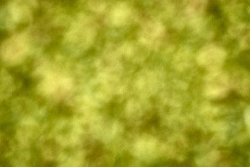 Fototapeta na wymiar Blurred marijuana bud designed texture. Cannabis weed ganja like background texture gradient abstract green brown colored blunt joint smoke high