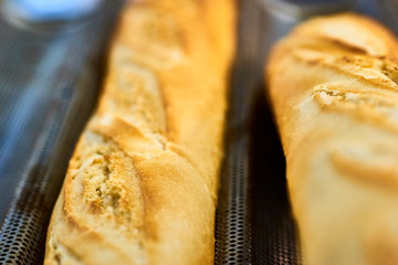 Professional bread production. Detailed macro close up shot of french bread baguette out of oven fresh warm cooked baked crunchy crust toast disposed in metallic oven professional special trays.