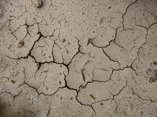 Soil Texture Background