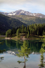 summer alpine lake and forest with mountain in the background