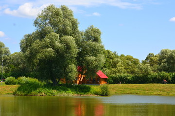 Fototapete bei efototapeten.de bestellen   