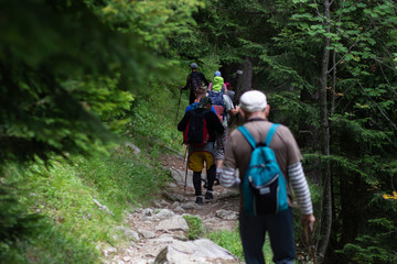Group of hikers walking in mountains.