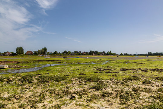 A view from Bosham in Sussex at low tide, with green seaweed and moored boats beneath a blue sky