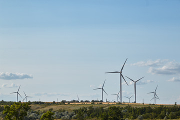 wind turbines in the field at the middle of the summer day