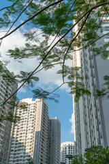 Fototapeta na wymiar Modern condominium building with green leaves on foreground. Green city concept