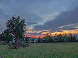 sunset in the park