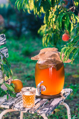 Kombucha tea drink