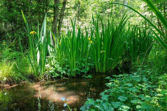 Naturschutz und Wandergebiet Schwarzbachtal
