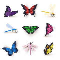 Dragonflies and butterflies illustrations set