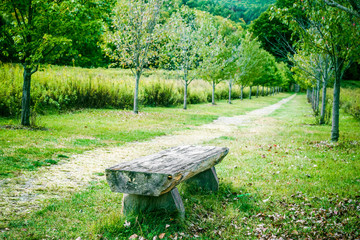 Nature landscape with Relaxing bench and path in park