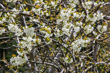 190413 Дорога и деревни Кипр Road and villages Cyprus