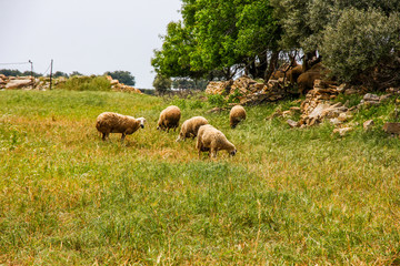 190413 Дорога и деревни Кипр Road and villages Cyprus