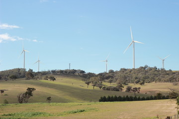 panoramic views of multiple windmills at a modern wind farm built on a green hill on a sunny blue sky cloudy day, Rurul Victoria, near Melbourne