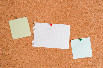 Corkboard color size paper pin thumbtack tack sheet billboard notice board