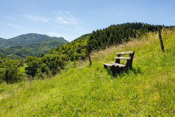 Bench on the hiking trail in the Black Forest