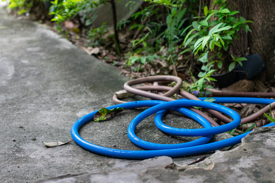 The blue rubber hose