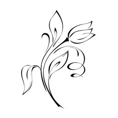one stylized flower on a curved stem with leaves and curls in black lines on a white background