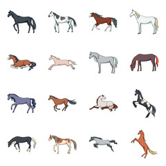 Isolated object of animal and stallion icon. Set of animal and farm stock symbol for web.