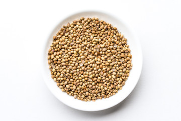 Coriander Seeds in a Bowl