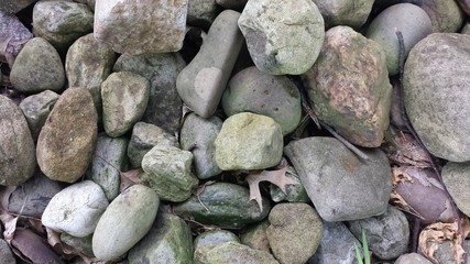 rocks
