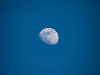 moon in the afternoon sky