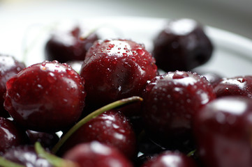 Fresh dark red cherries with water drops