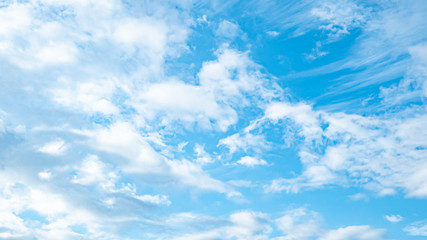 Fototapeta premium 青空・雲