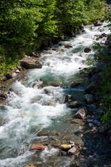 water stream after a waterfall in the forest